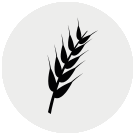 TRAZAS DE GLUTEN